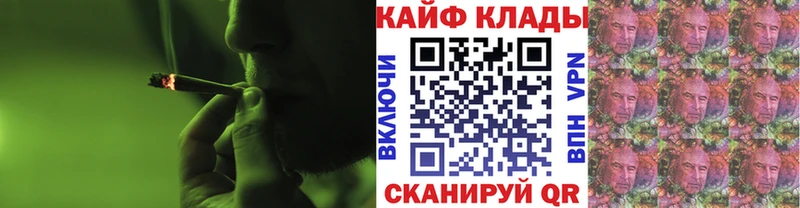 Галлюциногенные грибы Новопавловск