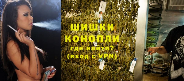 сатива Карталы