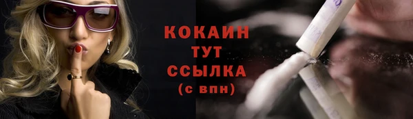 ГАЛЛЮЦИНОГЕННЫЕ ГРИБЫ Нестеровская