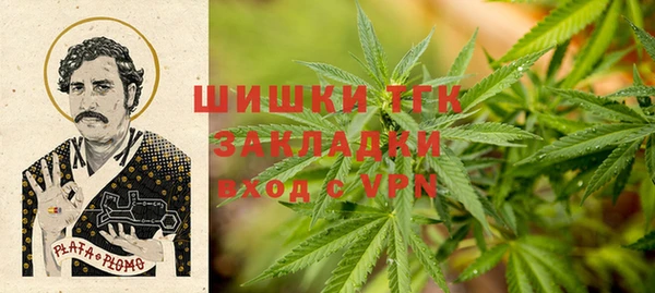 ГАЛЛЮЦИНОГЕННЫЕ ГРИБЫ Нестеровская