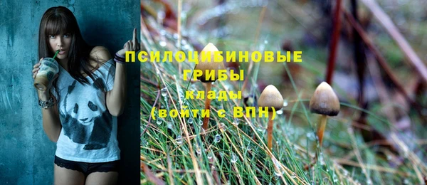 Альфа ПВП Каменск-Шахтинский