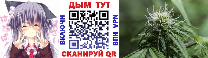 Шишки марихуана MAZAR  Новопавловск 